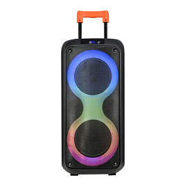 Портативная колонка Feiyang PA-804 для вечеринок с подсветкой черная Портативная колонка Feiyang PA-804 для вечеринок с подсветкой черная