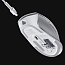 Мышь беспроводная оптическая Razer Pro Click 8 кнопок 16000 dpi белая