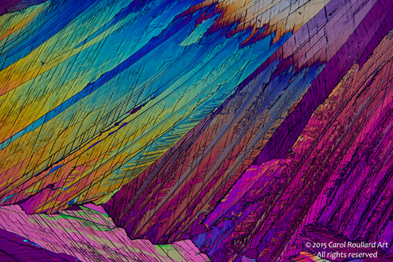 Parrot-Feathers-Carol-Roullard-Art-Adipic-Acid-Crystals.jpg