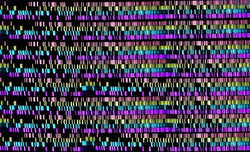 DNA_sequencing_autoradiograph_uprosa_1024x1024.jpg