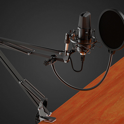 Микрофон для стрима на стойке-пантографе Ritmix RDM-180 черный