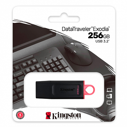Флешка Kingston DataTraveler Exodia 256GB USB 3.2 Gen 1 черная
