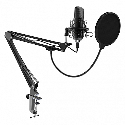 Микрофон студийный USB Ritmix RDM-169 черный