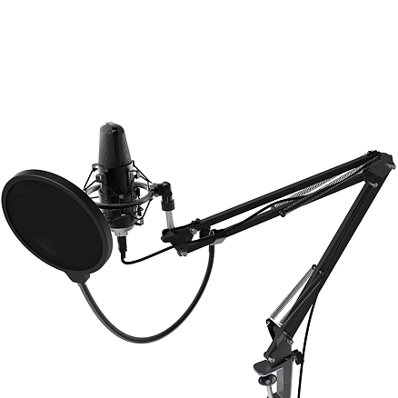 Микрофон студийный USB Ritmix RDM-169 черный