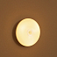 Лампа-ночник настенная с датчиком движения Baseus Light Garden