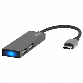 Переходник Type-C - 2 х USB 2.0 Ritmix CR-4201 серый