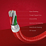 Кабель USB - Lightning для зарядки iPhone 1 м 2.4А MFi плетеный Ugreen US293 красный