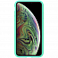 Чехол для iPhone XS Max магнитный Nillkin Blossom мятный