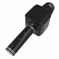 Микрофон беспроводной для караоке с динамиком, подсветкой, USB и слотом для MicroSD Forever BS-400 черный