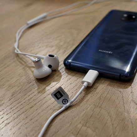 Наушники Xiaomi Mi Dual Driver Earphones в разъем Type-C вкладыши с микрофоном и пультом белые