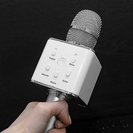 Микрофон беспроводной для караоке с динамиком и USB для флешки Forever BS-101 серебристый