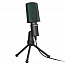 Микрофон для стрима Ritmix RDM-126 черно-зеленый