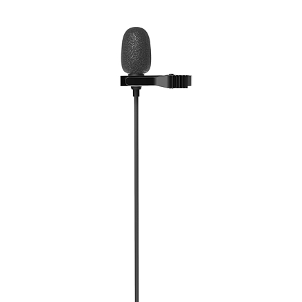 Микрофон петличный Ritmix RCM-210 в разъем Type-C черный