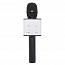 Микрофон беспроводной для караоке с динамиком и USB для флешки Forever BS-101 черный