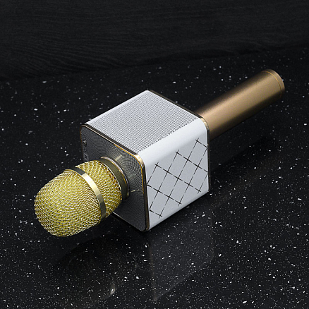 Микрофон беспроводной для караоке с динамиком и USB для флешки Forever BS-101 золотистый