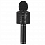 Микрофон беспроводной для караоке с динамиком, USB и слотом для MicroSD Forever BS-300 черный